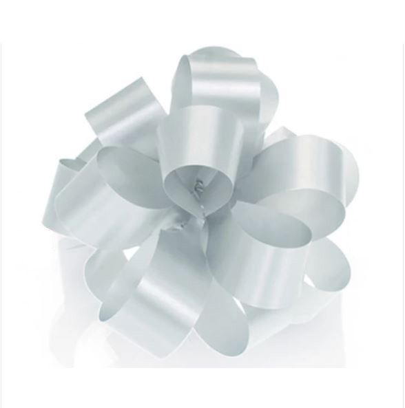 007227 Silver Floristry Ribbon - 50mm Wide