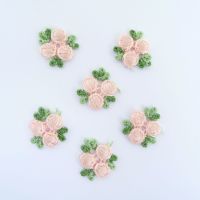 RBM-Pe Embroidered Rosebuds & Leaves - Peach x 6