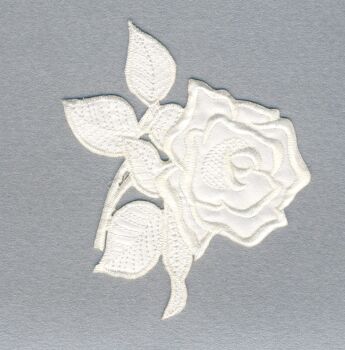 M019W White Rose Iron On Motif