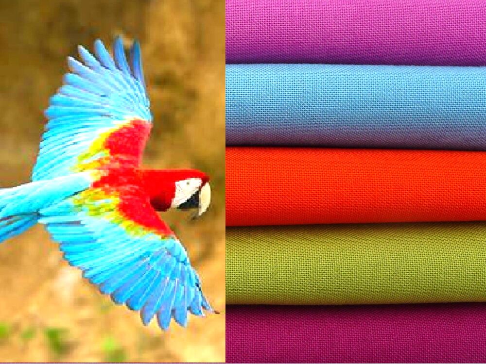 Tropical 5 Fat Quarters Bundle Plain | Solid Quilting Fabric | Makower_FQB11