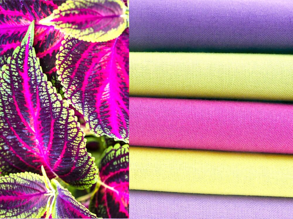 Fat Quarter Quilting Fabric Bundle | Coleus Leaves_ Makower_FQB15