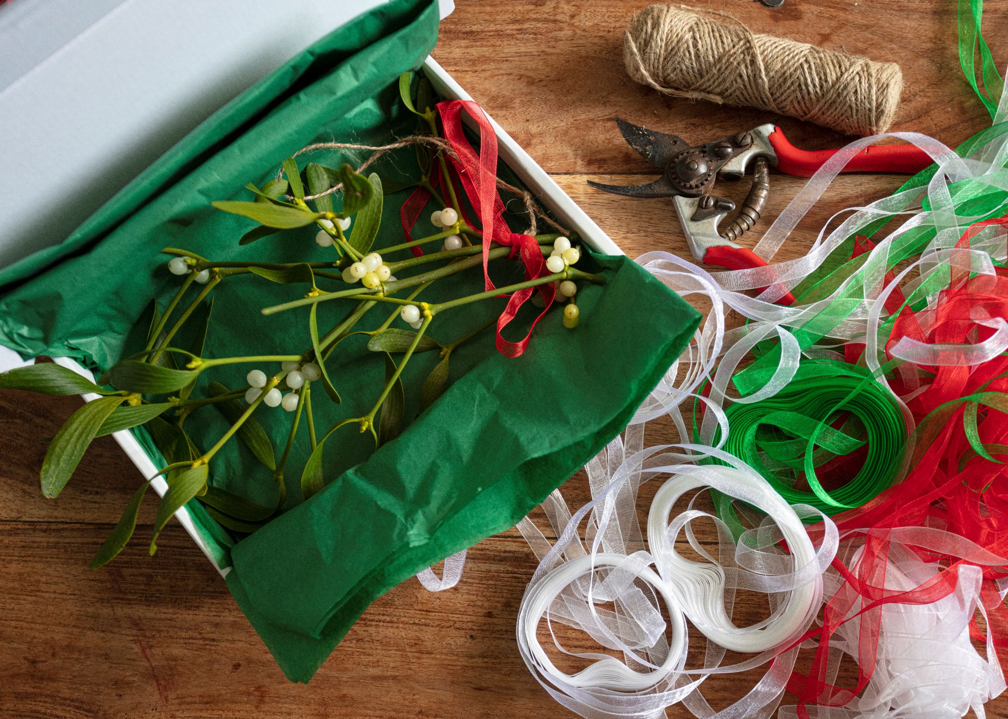 Buy mistletoe direct from our farm