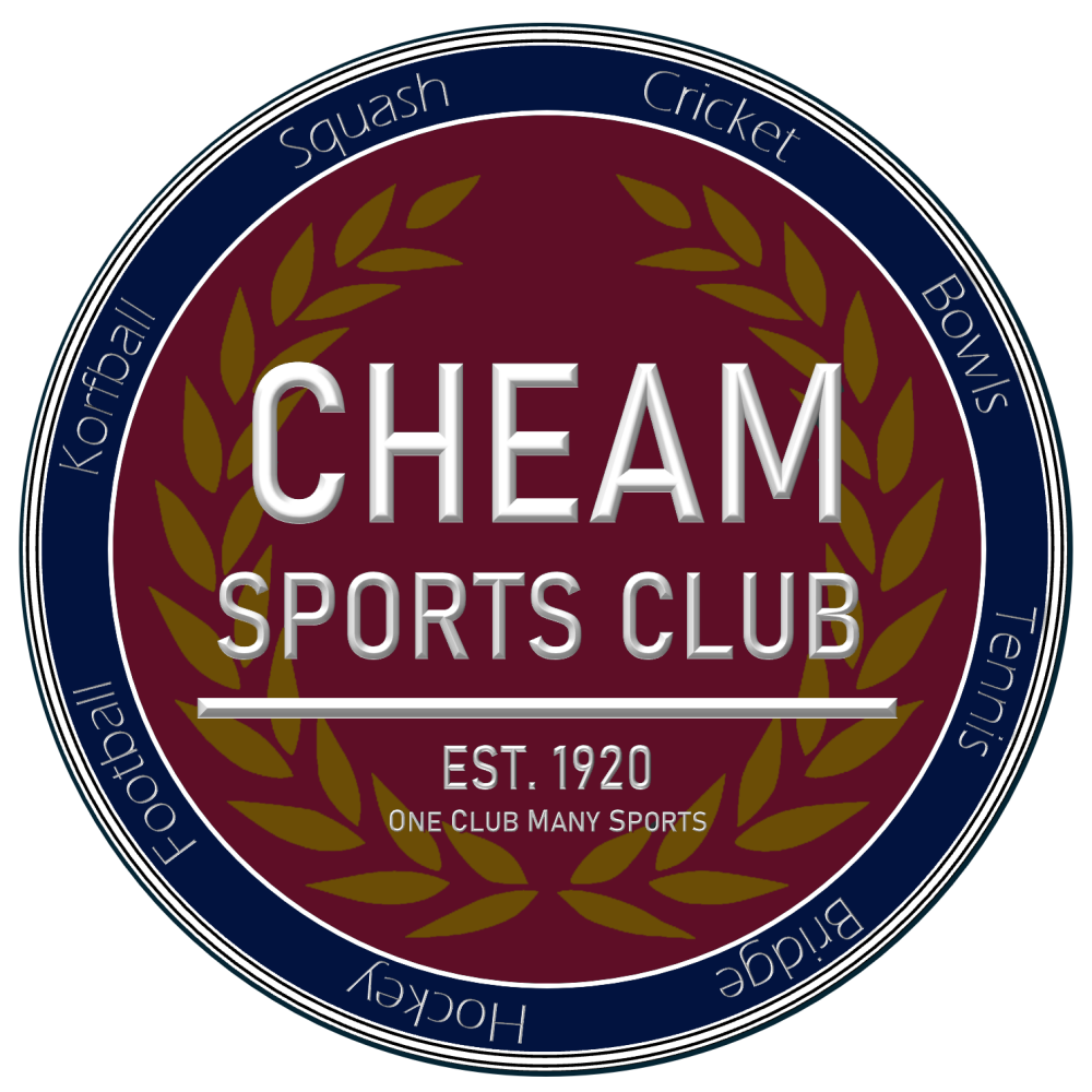 NEW LOGO COLOURS REVERSED