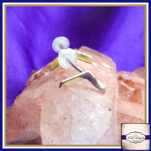 Sterling Silver Chevron Earrings - Cute Little Chevron Studs Gift Boxed -