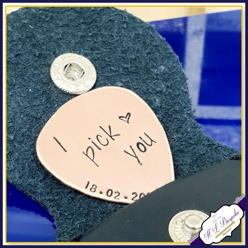 I Pick You Guitar Pick - Personalised Guitar Pick - I Plucking Love You - V