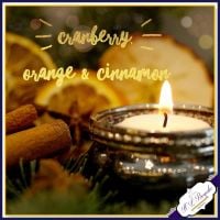 Cranberry Orange & Cinnamon Soya Wax Melts - Highly Scented Wax Tarts - Fruity Wax Melts - Vegan Friendly - Eco Friendly Melts