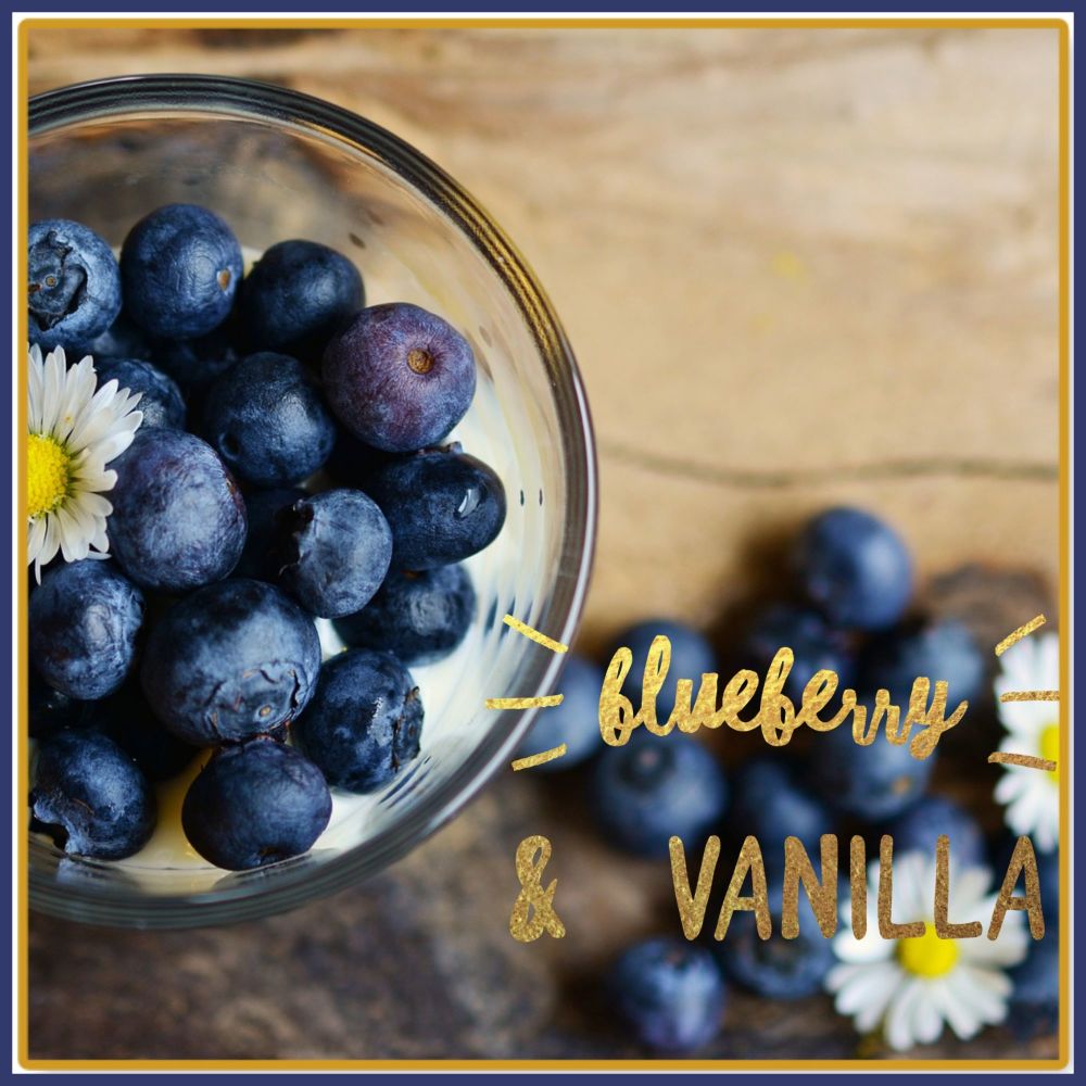 Blueberry & Vanilla Soy Wax Melts - Highly Scented Wax Tarts - Fruity Wax Melts - Vegan Friendly Wax Melts - Eco Friendly Melts
