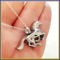 Horse Cremation Urn Jewellery - Horse Cremation Urn Pendant - Horse Urn - In Memory Of Horse Jewellery - Personalised Pet Necklace
