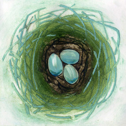 Robin Nest collagraph