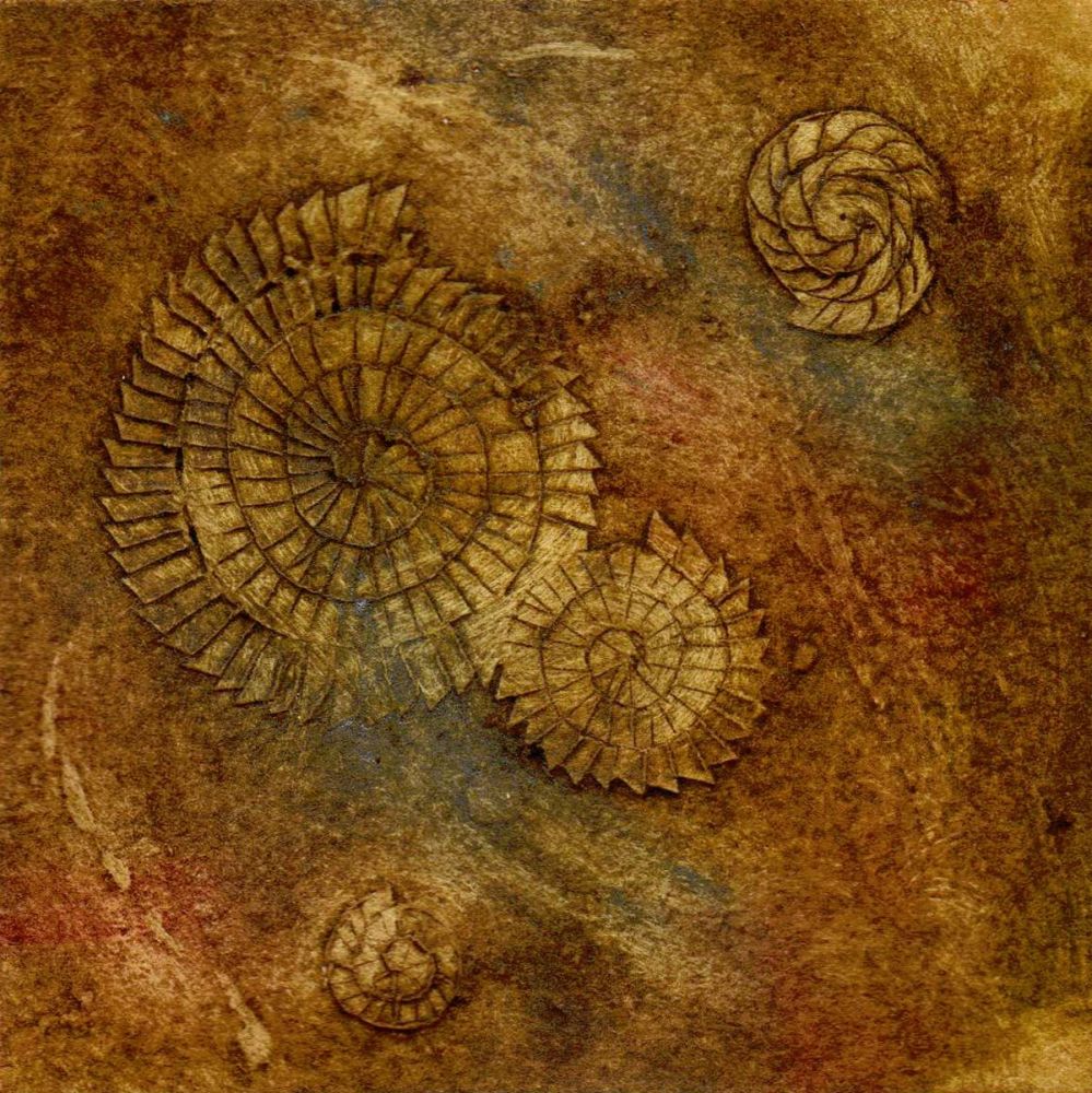 Ammonites I (4/20)