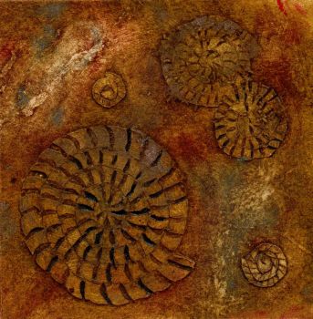 Ammonites II (2/20)