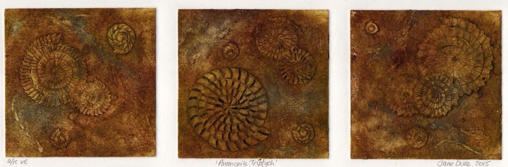 Ammonite Triptych (2/15)