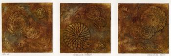 Ammonite Triptych (2/15)
