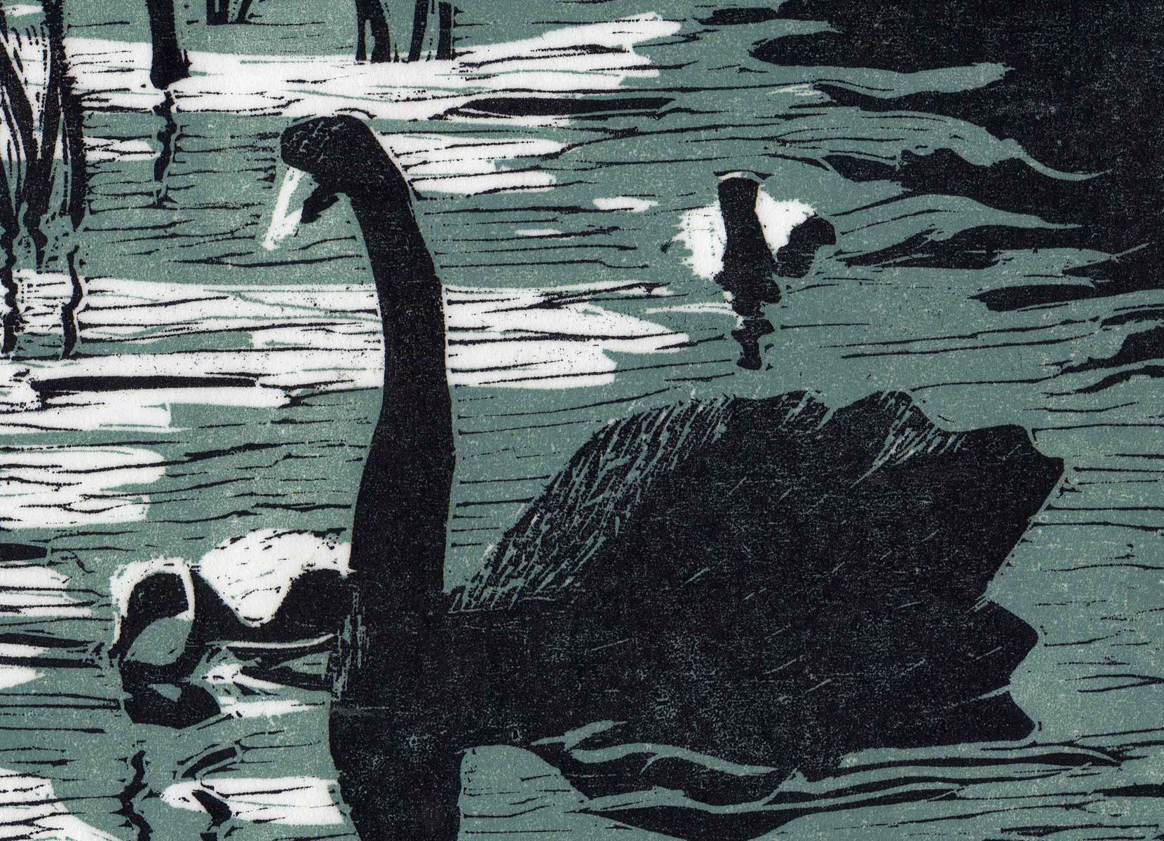 woodcut print of a swan