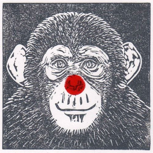 <!--001-->Monkeying Around - Red Nose Day fundraiser 2019