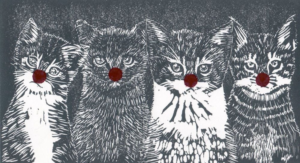 <!--001-->Noses on Kittens- Red Nose Day fundraiser 2021