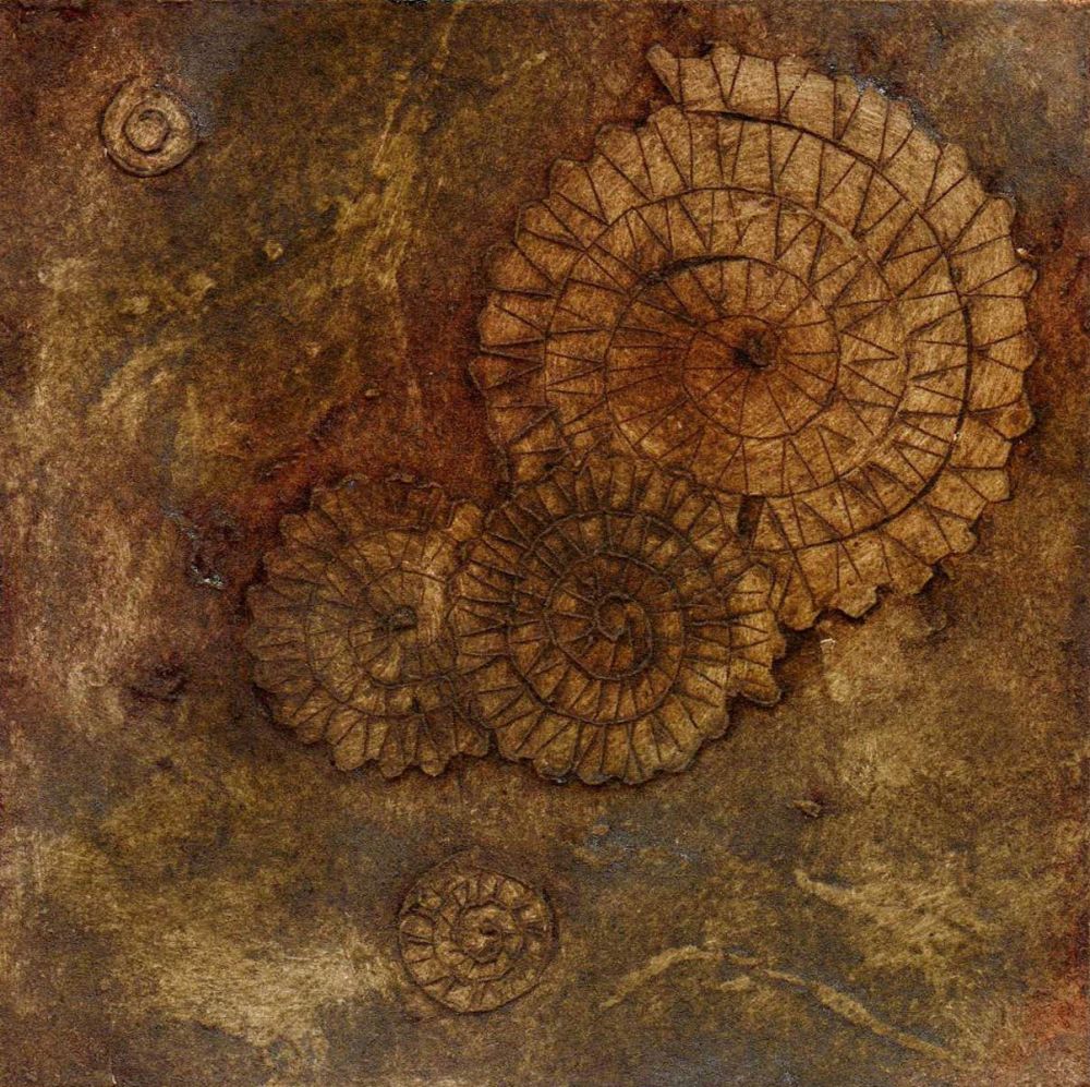 Ammonites III card