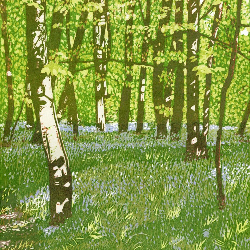 Bluebell Woods card