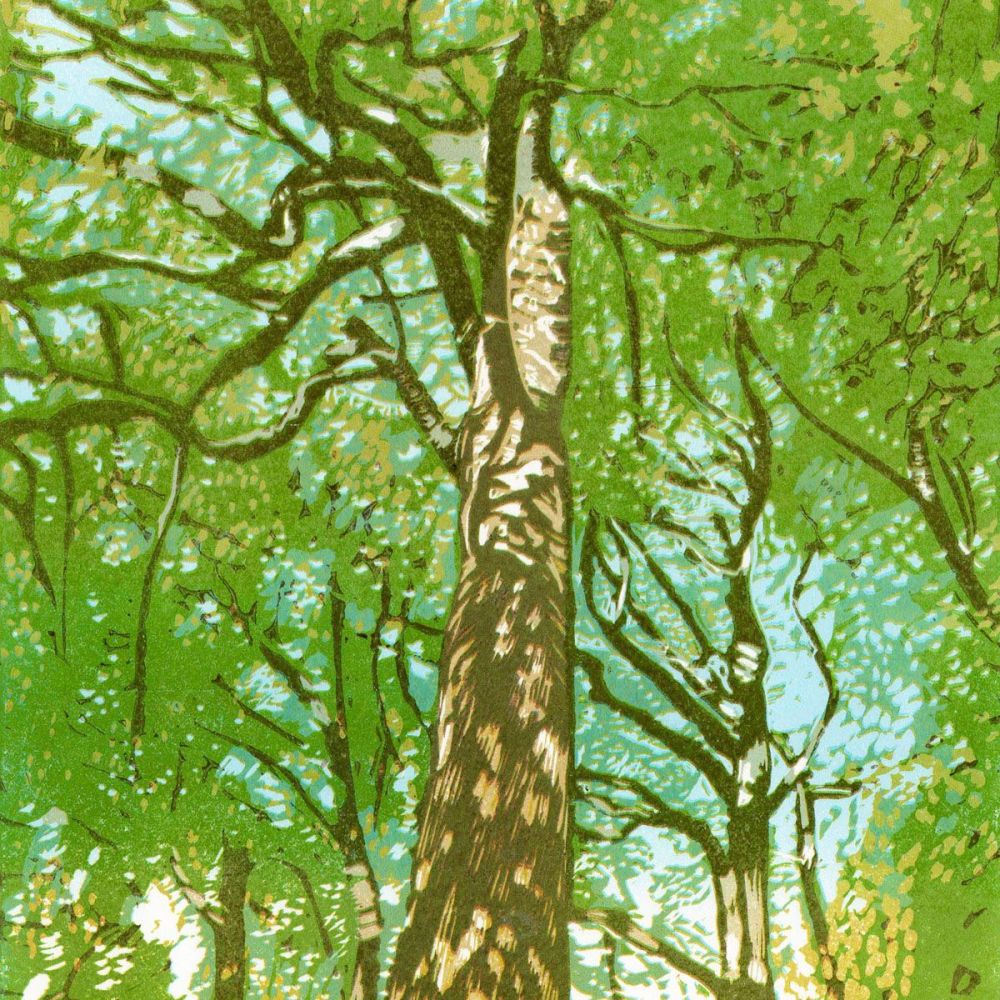 Tall Trees card
