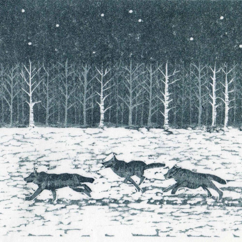 The Wolves are Running greetings card