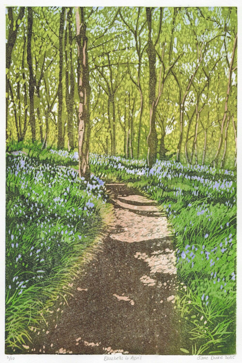 Bluebells in April