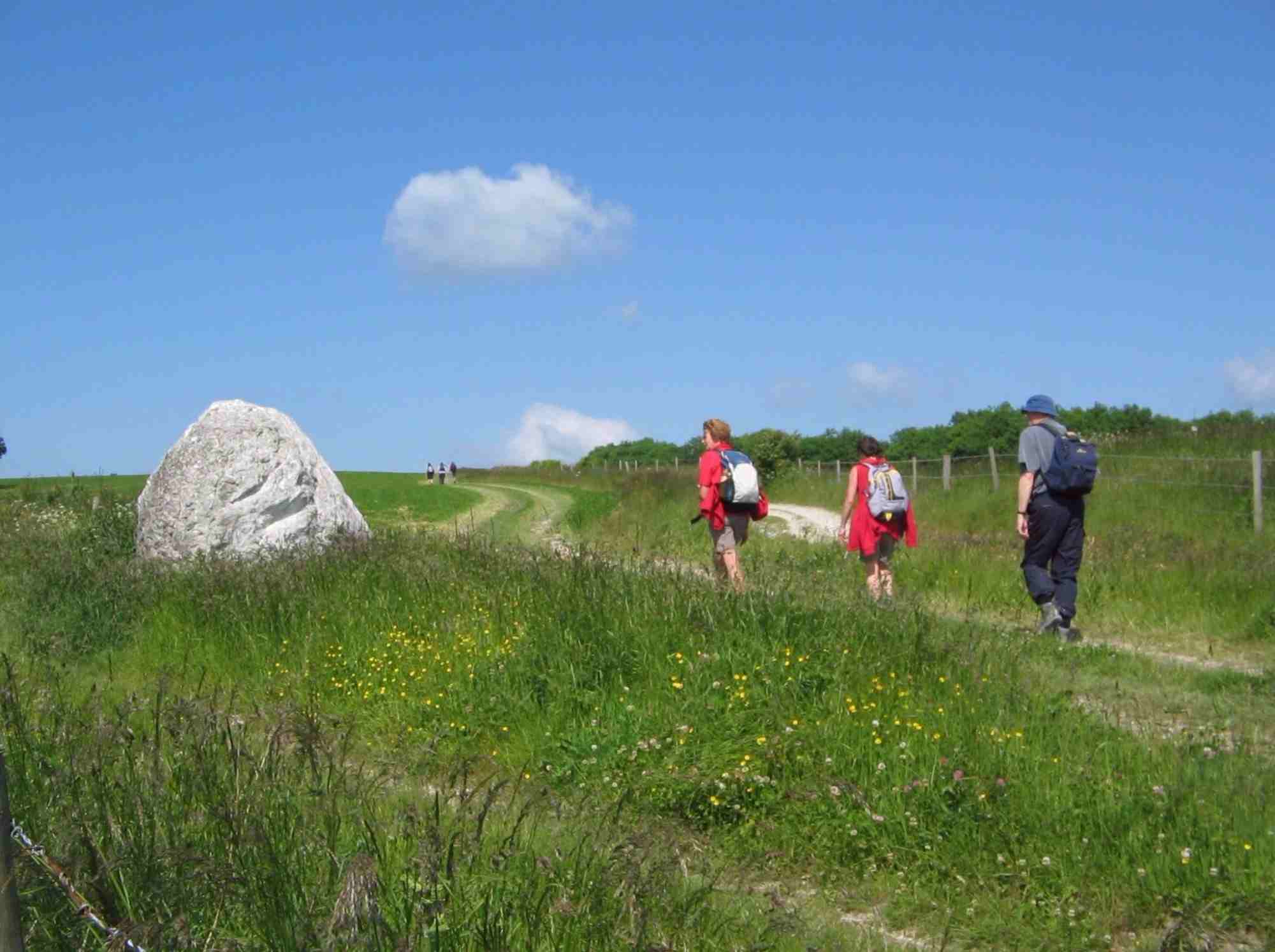 South Downs Way Chanctonbury