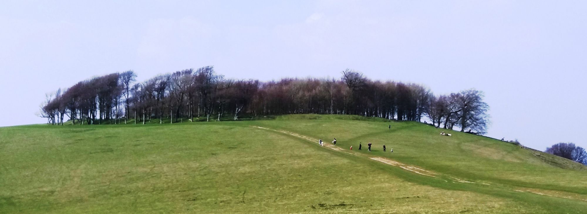 Chanctonbury Ring