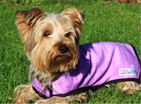 Prestige Pets Cool Dog Cooling Coat - Purple - Xtra Small 28cm