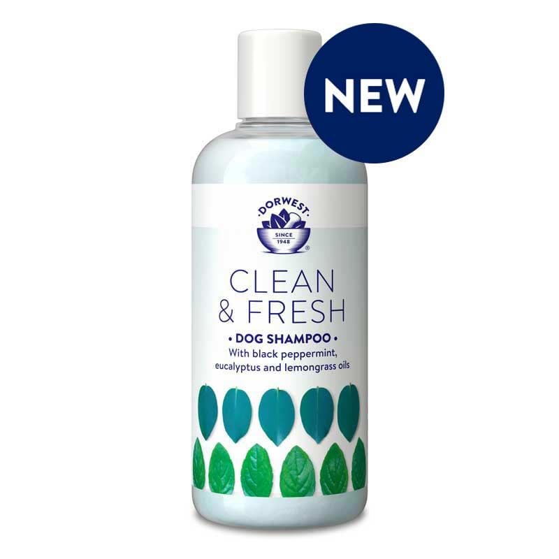 Clean & Fresh Anti Flea Dog Shampoo 250ml