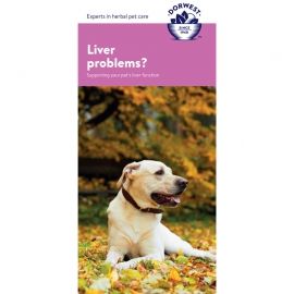 Liver Support Leaftlet