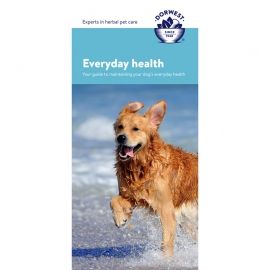 Everyday Health Leaflet 