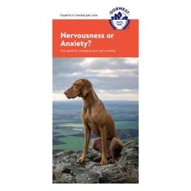 Nervousness  & Anxiety Leaflet