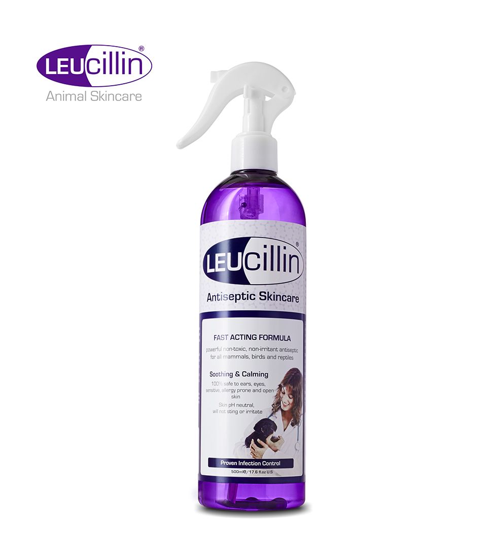 Leucillin Antiseptic Skin Care Spray 500ml