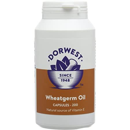 Wheatgerm Oil Capsules For Dogs And Cats - 200