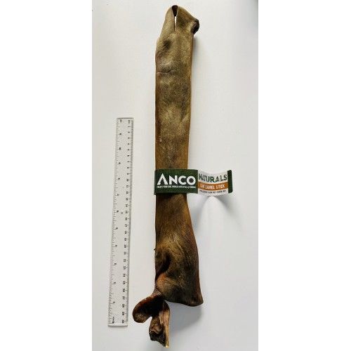 Anco Naturals Giant Camel Sticks x 1    ~~~~Long Lasting~~~~