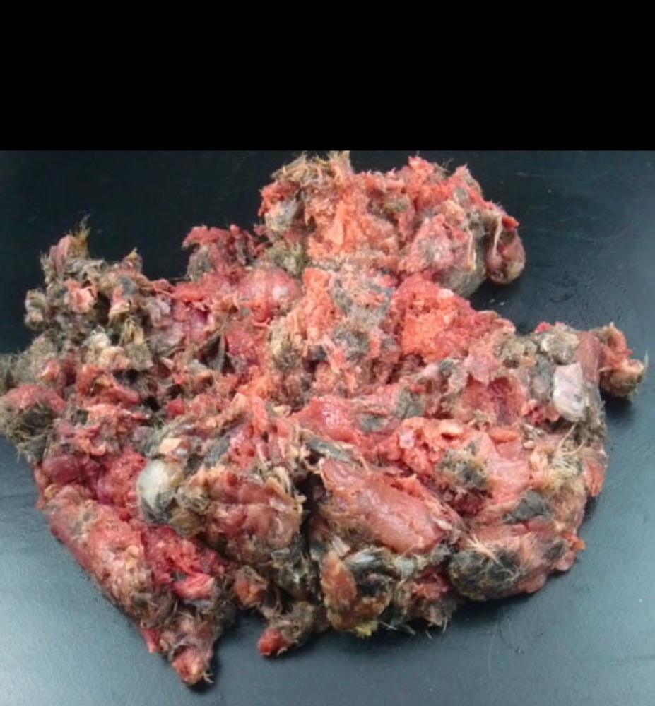 The Dogs Butcher Wild Gutted Rabbit Minced in Fur 80-10-10 - 1kg - may contain shot