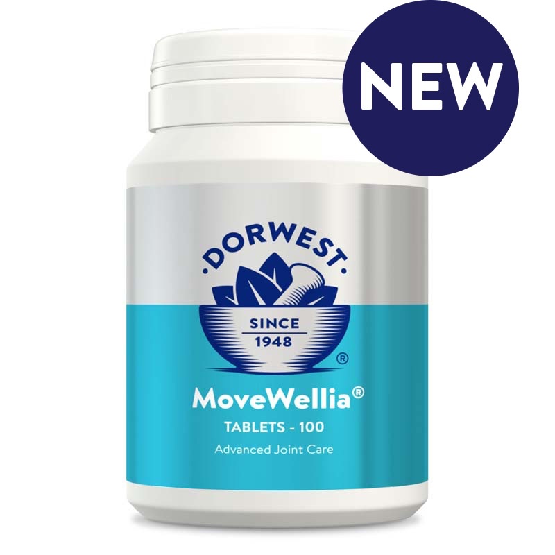 MoveWellia Tablets For Dogs And Cats - 100 tablets