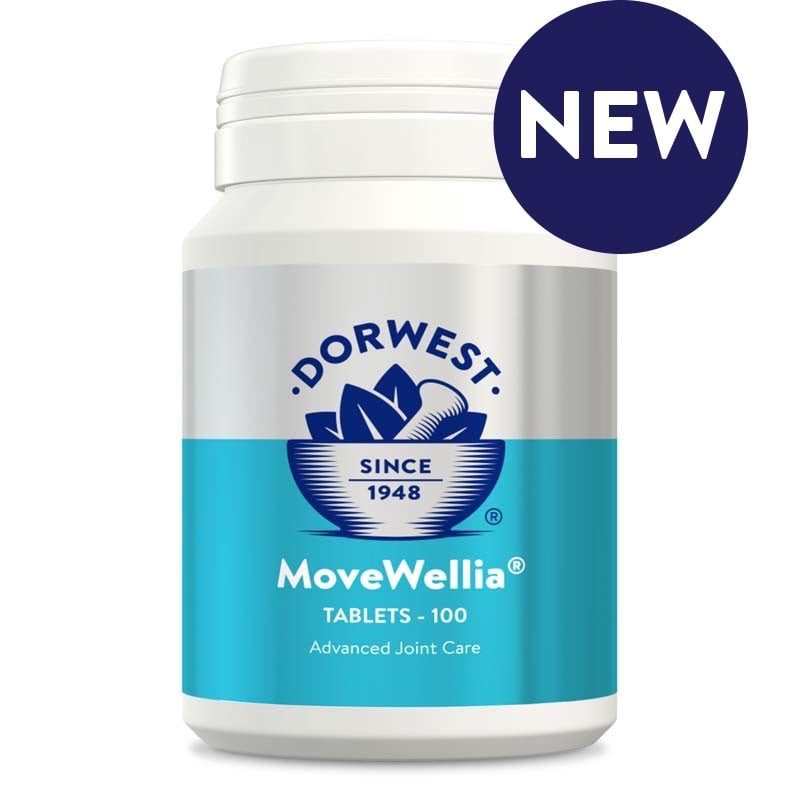 MoveWellia Tablets For Dogs And Cats - 200 tablets