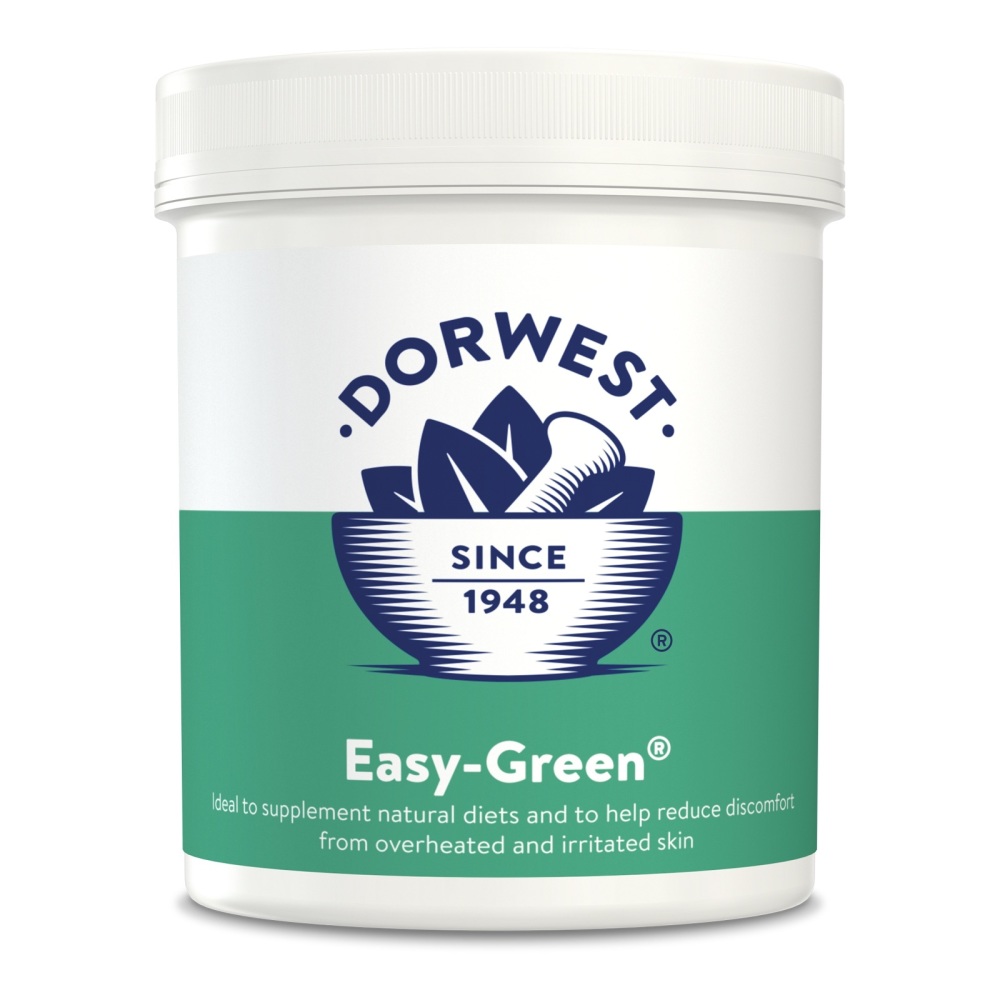 Easy-Green Powder for Dogs & Cats  ~~For all round health~~  500g Tub