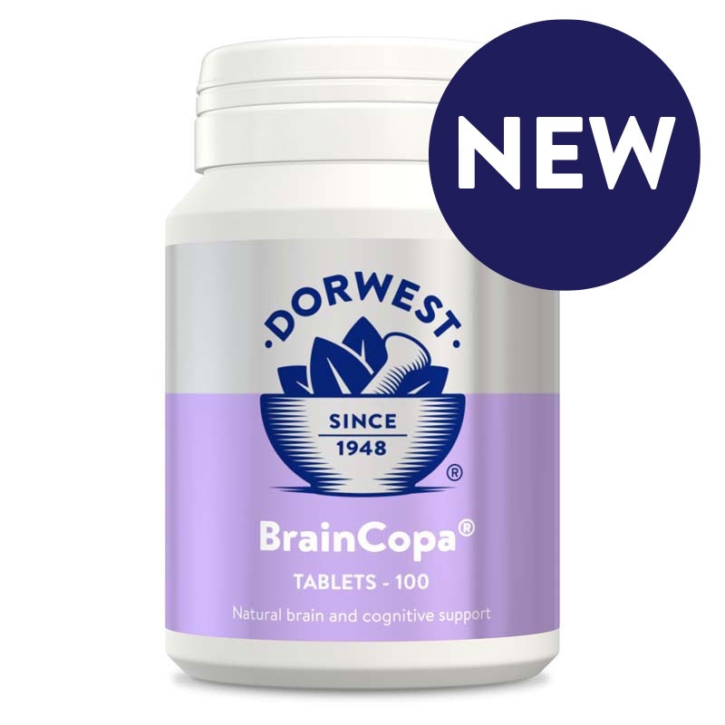 BrainCopa Tablets for Dogs & Cats x 100