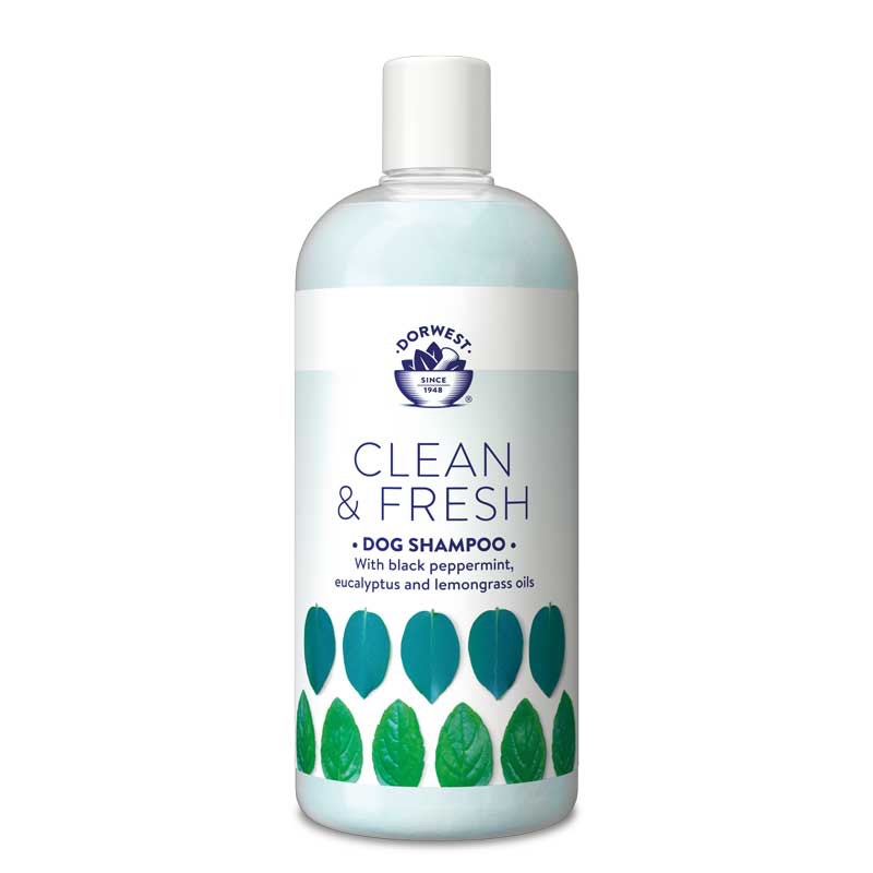 Clean & Fresh Anti Flea Dog Shampoo 500ml