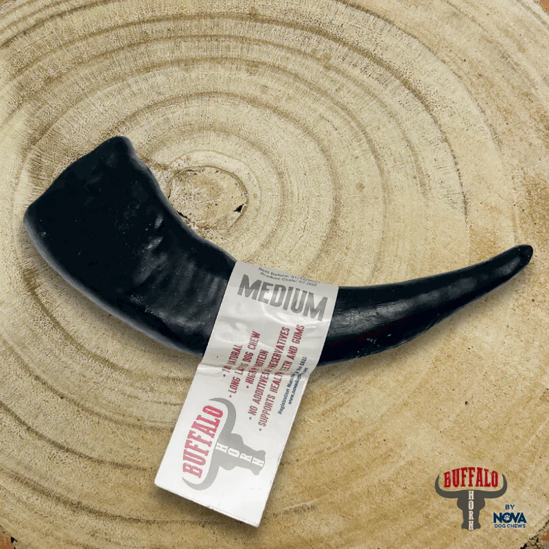 Nova Buffalo Horn Medium x 1