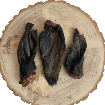Nova Hairy Buffalo Ears x 5