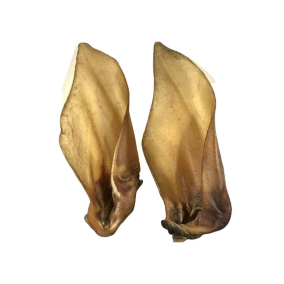 Nova Buffalo Ears x 5