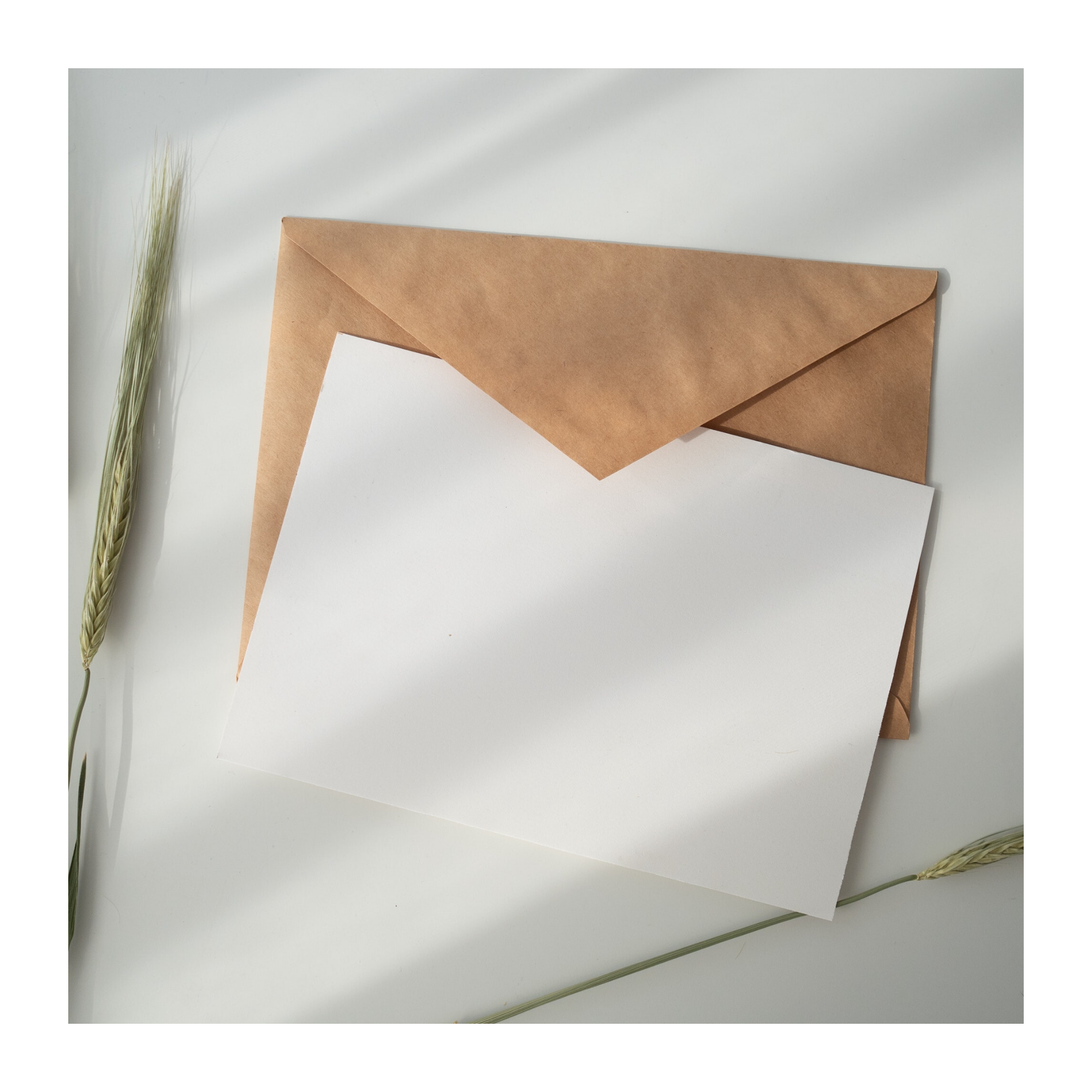 A white card and kraft brown envelope lain on a white surface.