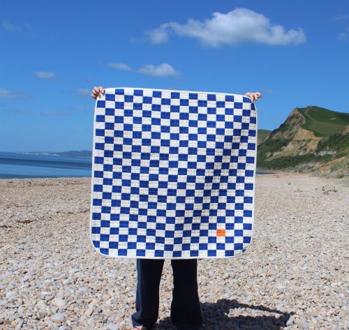Blue and White Baby Quilt with a Naughty hint of Orange