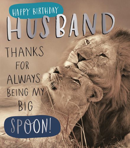Happy Birthday Husband - THANKS For BEING My BIG Spoon - Husband Card - LOVING Card For HUSBAND - LIONS Birthday CARD - Husband BIRTHDAY Cards