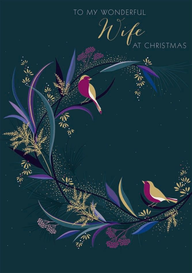 Wife Christmas Cards - TO My WONDERFUL Wife At CHRISTMAS - Robin CHRISTMAS 