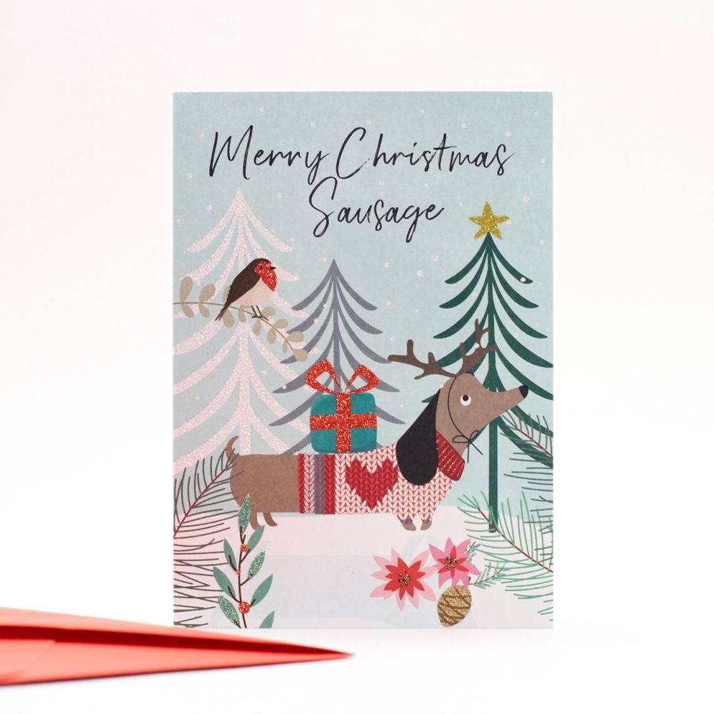 Dachshund Christmas Cards - MERRY Christmas SAUSAGE - SPARKLY Christmas CAR