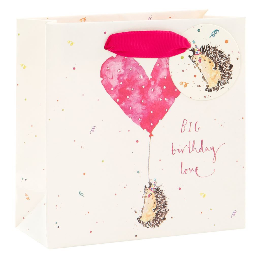 Adorable Hedgehog Gift Bag - BIG Birthday LOVE - SMALL Portrait GIFT Bag - 
